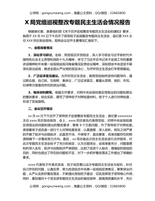 X局党组巡视整改专题民主生活会情况报告