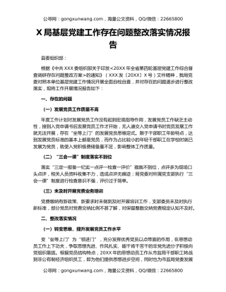 X局基层党建工作存在问题整改落实情况报告