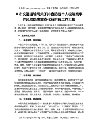 X市交通运输局关于排查防范个人极端案事件风险隐患重查化解阶段工作汇报