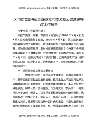 X市局党组书记组织落实市委巡察反馈意见整改工作报告
