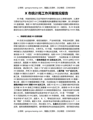 X市统计局工作开展情况报告
