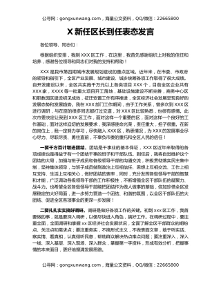 X新任区长到任表态发言