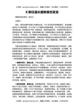 X新任县长履新表态发言
