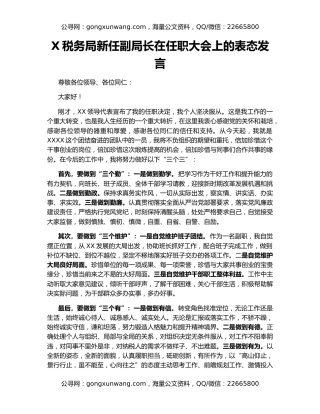 X税务局新任副局长在任职大会上的表态发言
