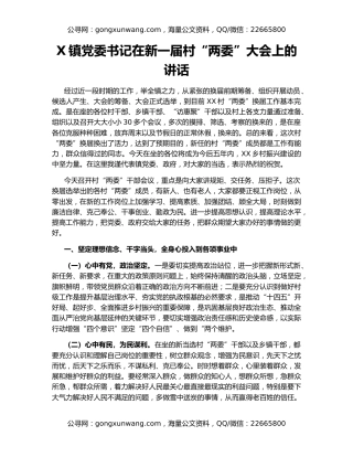 X镇党委书记在新一届村“两委”大会上的讲话