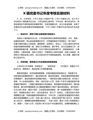 X镇党委书记年度考核实绩材料