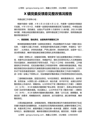 X镇党委反馈意见整改情况报告