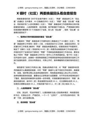 X镇村（社区）两委换届回头看自查报告