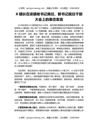 X镇长在该镇老书记离任、新书记就任干部大会上的表态发言