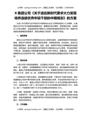 X集团公司《关于适应新时代要求大力发现培养选拔优秀年轻干部的中期规划》的方案