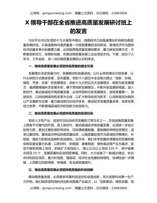X领导干部在全省推进高质量发展研讨班上的发言