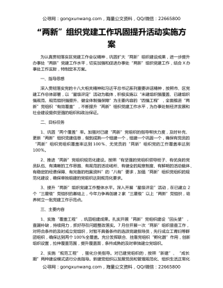 “两新”组织党建工作巩固提升活动实施方案