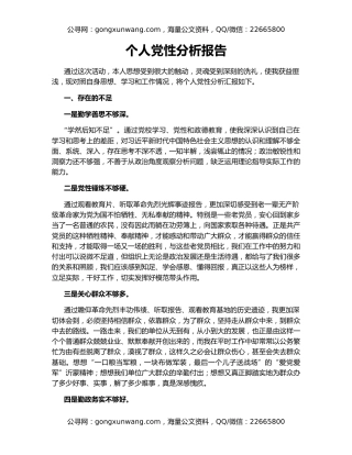 个人党性分析报告（6）