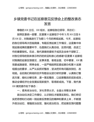 乡镇党委书记在巡察意见反馈会上的整改表态发言
