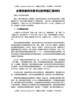 乡镇党委向市委书记的专题汇报材料