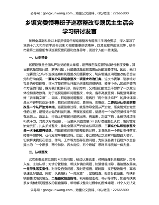 乡镇党委领导班子巡察整改专题民主生活会学习研讨发言