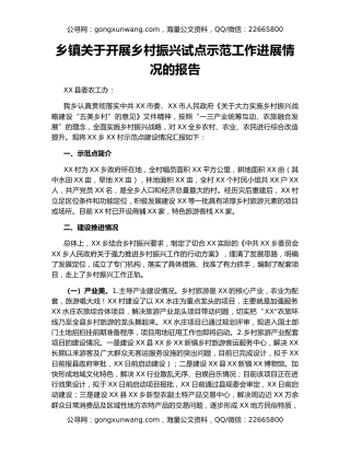 乡镇关于开展乡村振兴试点示范工作进展情况的报告
