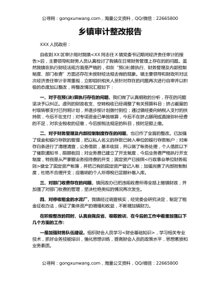 乡镇审计整改报告