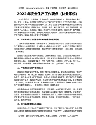2022年安全生产工作要点（林业系统）