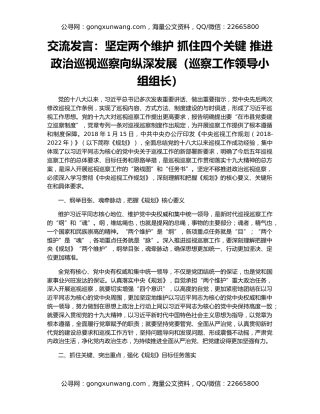 交流发言：坚定两个维护 抓住四个关键 推进政治巡视巡察向纵深发展（巡察工作领导小组组长）