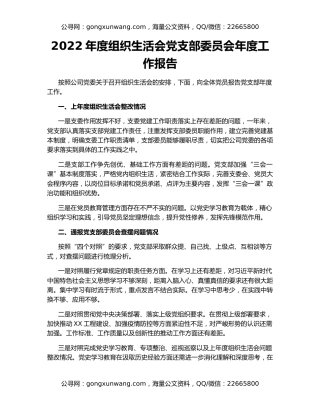2022年度组织生活会党支部委员会年度工作报告