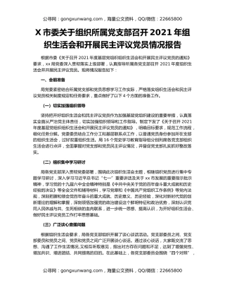 X市委关于组织所属党支部召开2021年组织生活会和开展民主评议党员情况报告