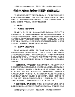 党史学习教育自查自评报告（消防大队）