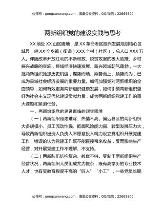 两新组织党的建设实践与思考