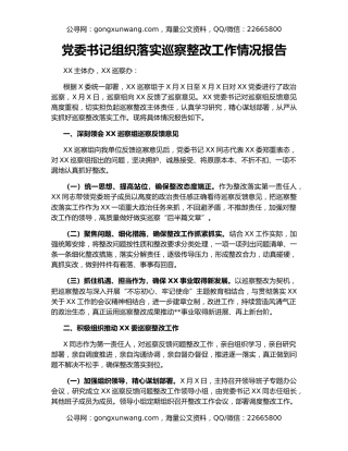 党委书记组织落实巡察整改工作情况报告