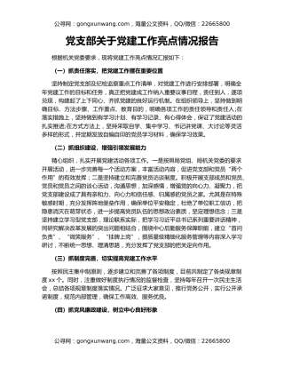 党支部关于党建工作亮点情况报告