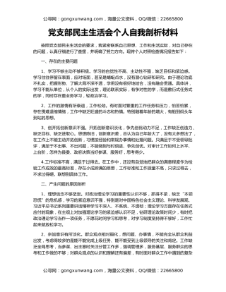 党支部民主生活会个人自我剖析材料
