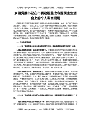 乡镇党委书记在市委巡视整改专题民主生活会上的个人发言提纲