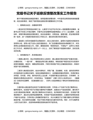 党组书记关于巡察反馈整改落实工作报告