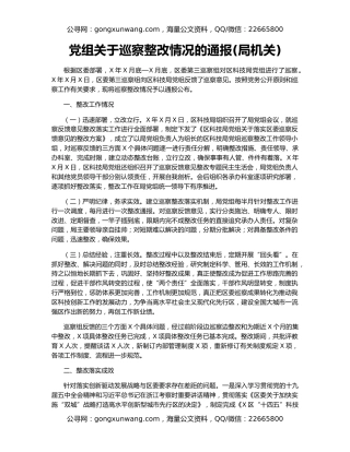 党组关于巡察整改情况的通报(局机关)