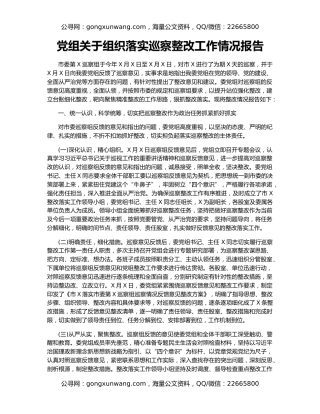 党组关于组织落实巡察整改工作情况报告