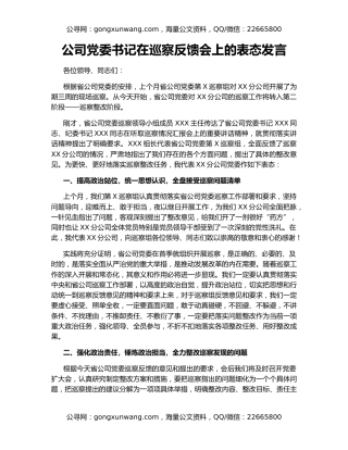 公司党委书记在巡察反馈会上的表态发言