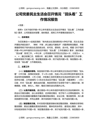 公司党委民主生活会召开情况“回头看”工作情况报告