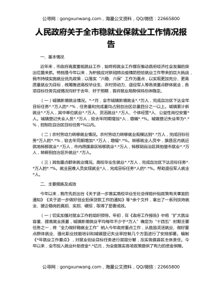人民政府关于全市稳就业保就业工作情况报告