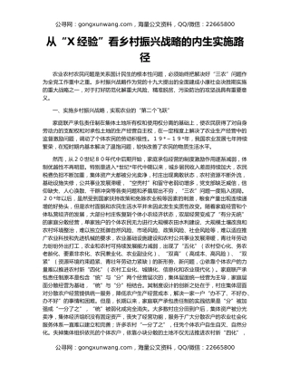 从“X经验”看乡村振兴战略的内生实施路径