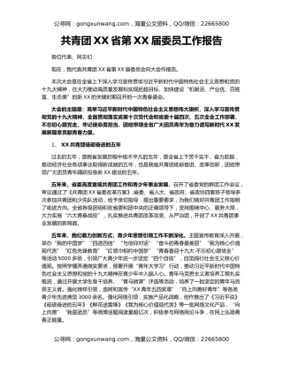 共青团XX省第XX届委员工作报告