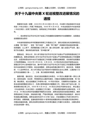 关于十九届中央第X轮巡视整改进展情况的通报