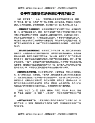 关于在镇街锻炼培养年轻干部的建议