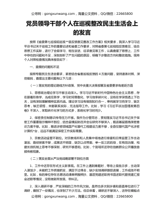 党员领导干部个人在巡视整改民主生活会上的发言