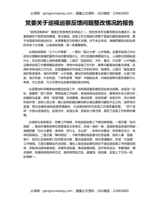 党委关于巡视巡察反馈问题整改情况的报告