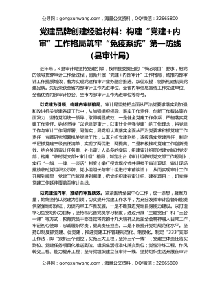 党建品牌创建经验材料：构建“党建+内审”工作格局筑牢“免疫系统”第一防线（县审计局）