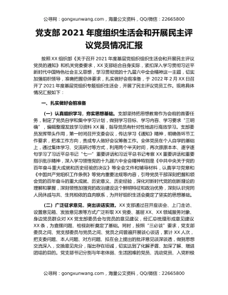 党支部2021年度组织生活会和开展民主评议党员情况汇报