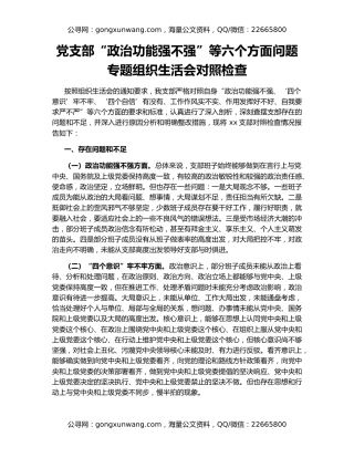 党支部“政治功能强不强”等六个方面问题专题组织生活会对照检查