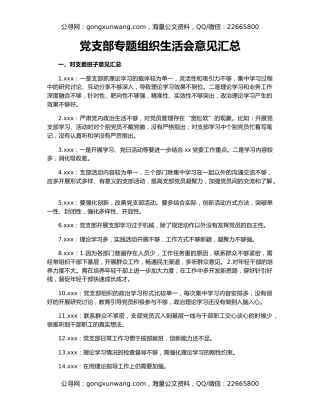 党支部专题组织生活会意见汇总