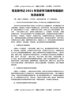 党支部书记2021年党史学习教育专题组织生活会发言