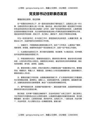 党支部书记任职表态发言